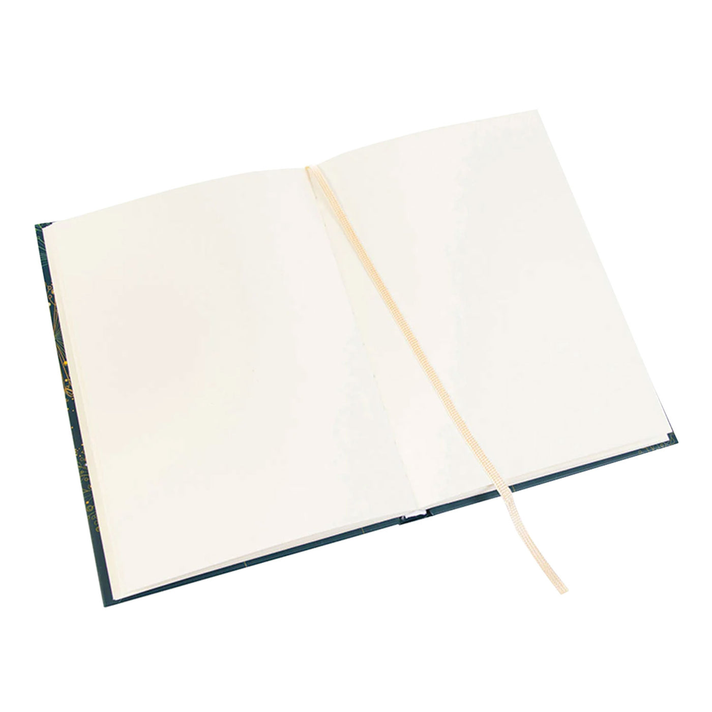 Goldbuch Dandelion Notebook - A5 Plain  4