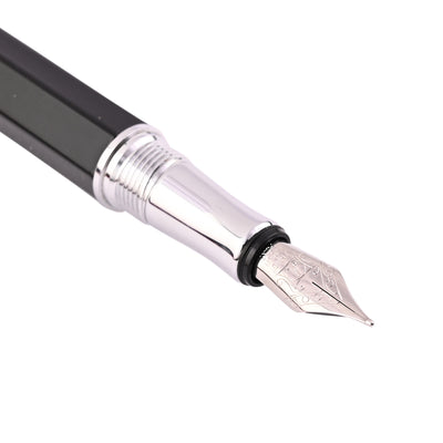 Intellio Jewel Fountain Pen - Starry Black CT 2