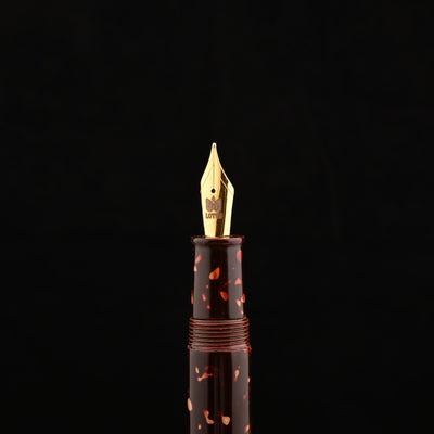 Lotus Shikhar Fountain Pen - Kwarinuri GT 6