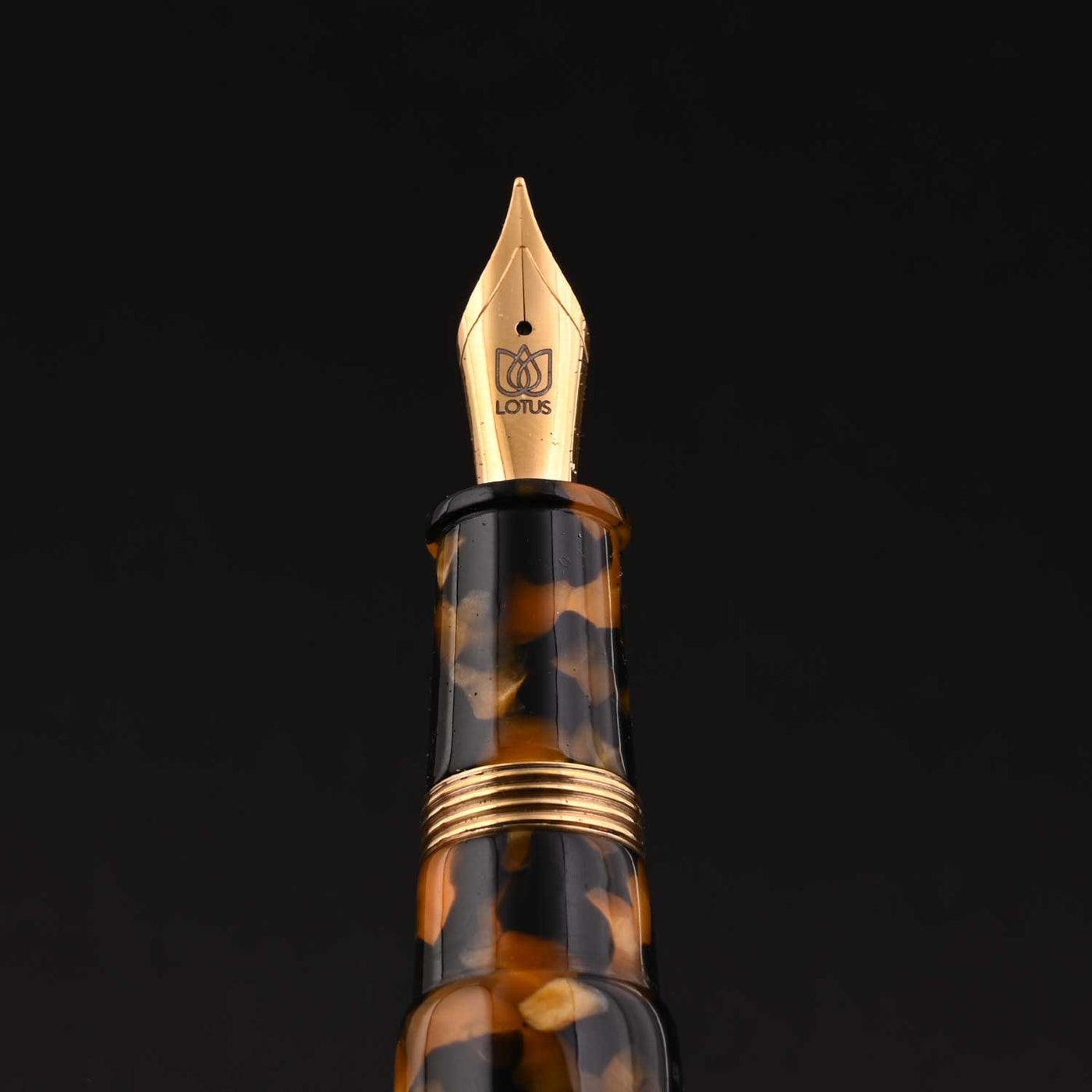Lotus Vikrant Fountain Pen - Honey Noire GT