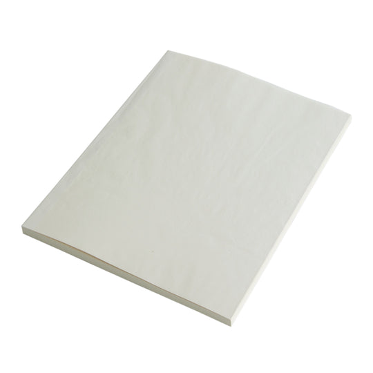 Midori MD Paper Ivory Notebook - A4, Plain