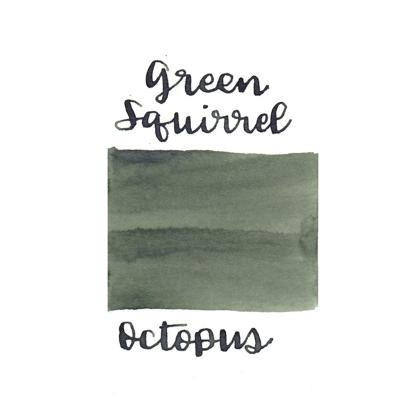 Octopus Write & Draw Ink Bottle, Green Squirrel - 50ml 2