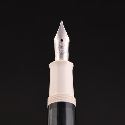 Pelikan M205 Fountain Pen - White CT 10