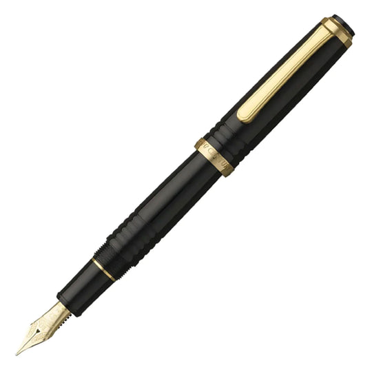 Platinum 3776 Century 10th Anniversary Fountain Pen - Decade (Limited Edition)