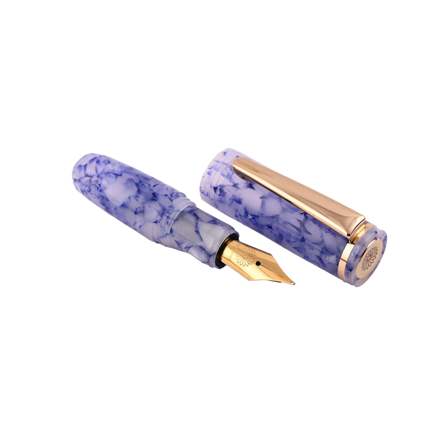 Wancher PuChiCo Fountain Pen - Hawaiian Blue GT 1