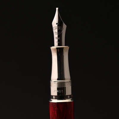 Aurora 100th Anniversary Limited Edition Fountain Pen - Red 12