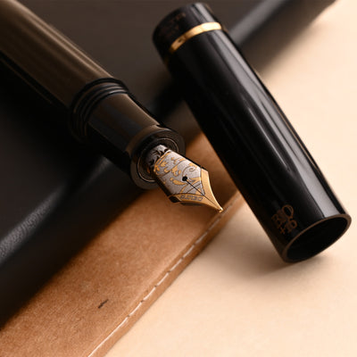 Delta Bio+16 14K Gold Fountain Pen - Black GT 10