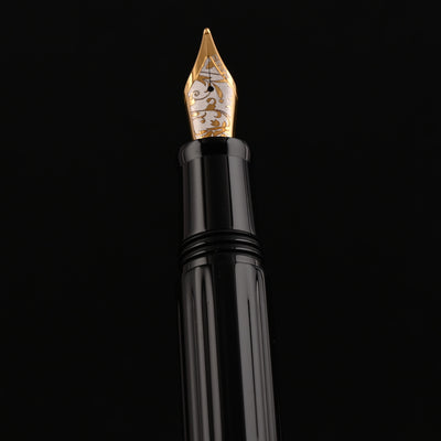 Delta Bio+16 14K Gold Fountain Pen - Black GT 11