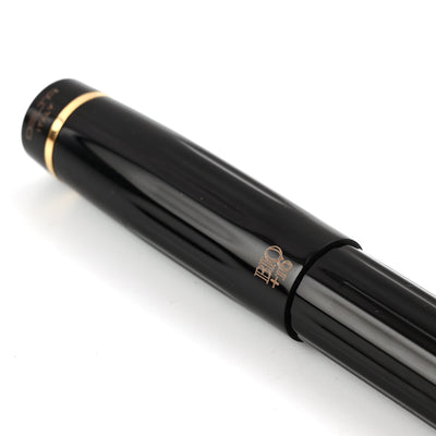 Delta Bio+16 14K Gold Fountain Pen - Black GT 5