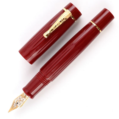 Delta Bio+16 14K Gold Fountain Pen - Coral GT 2