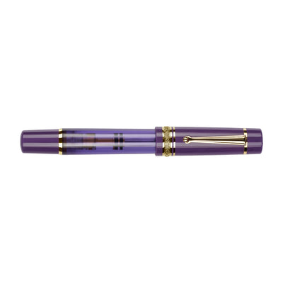 Delta Mid Size Plus Limited Edition No.8 Fountain Pen - Majestic Purple GT 10