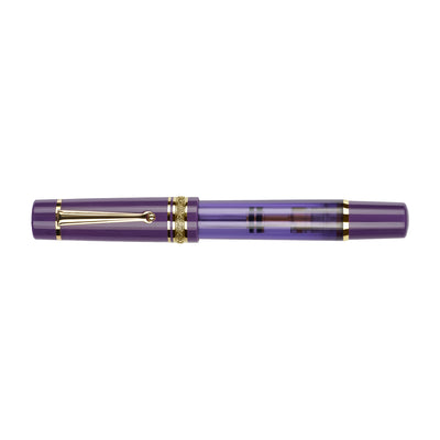 Delta Mid Size Plus Limited Edition No.8 Fountain Pen - Majestic Purple GT 11