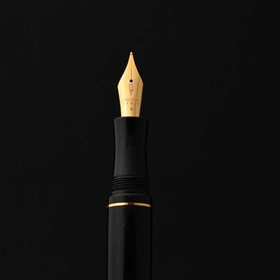 Delta Write Balance Fountain Pen - Black GT 11