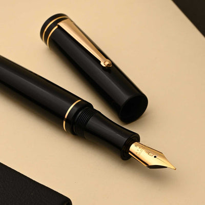 Delta Write Balance Fountain Pen - Black GT 7