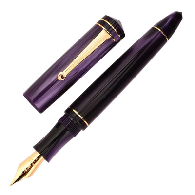 Delta Write Balance Fountain Pen - Purple GT 1