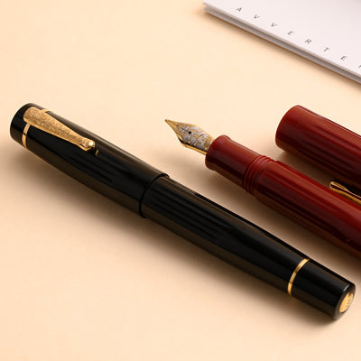 Delta Bio+16 No. 8 14K Gold Fountain Pen - Black GT