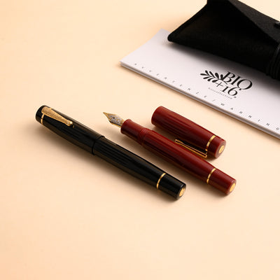 Delta Bio+16 14K Gold Fountain Pen - Black GT