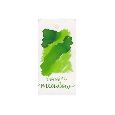 Diamine Meadow Ink Bottle - 80ml 2