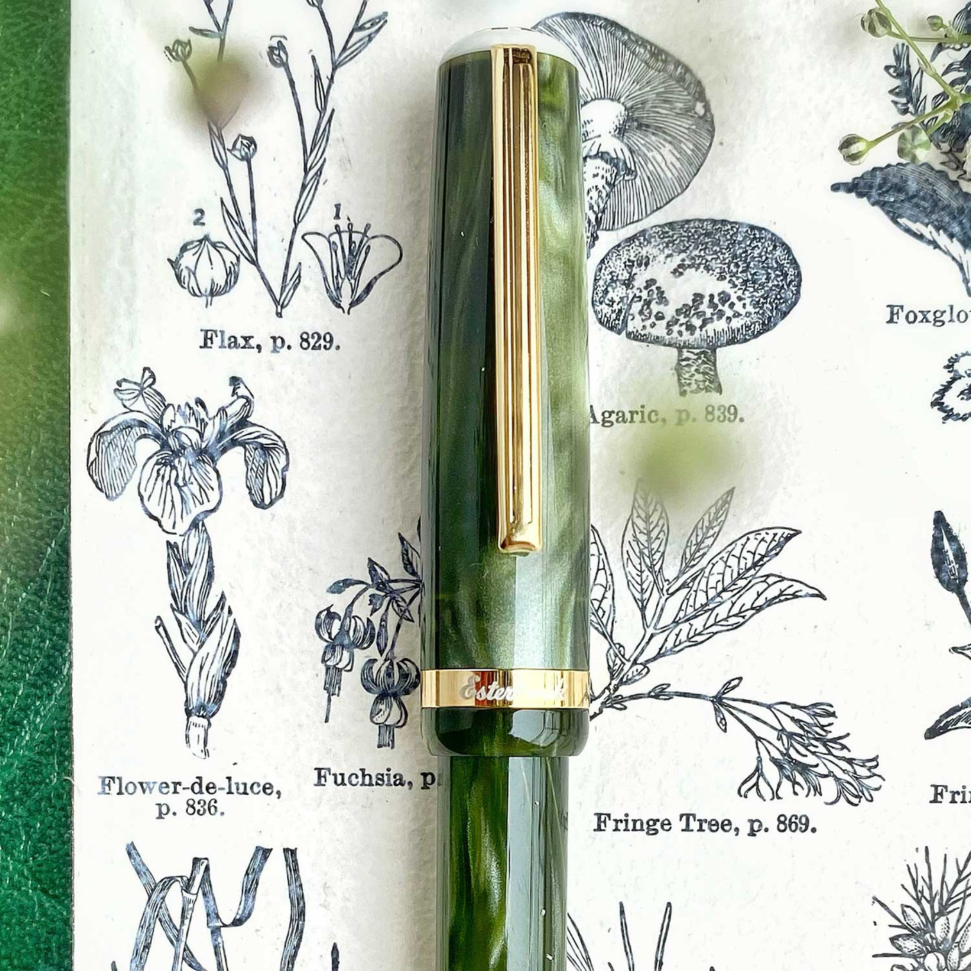 Esterbrook JR Pocket Fountain Pen - Palm Green GT 8