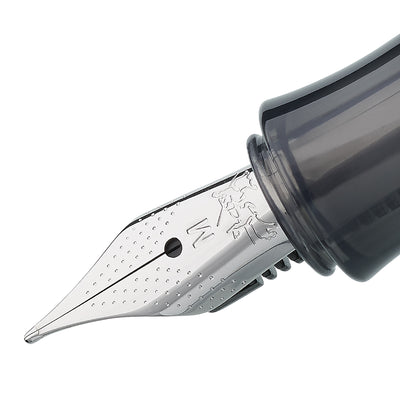 Faber-Castell Hexo Fountain Pen - Matte Silver CT