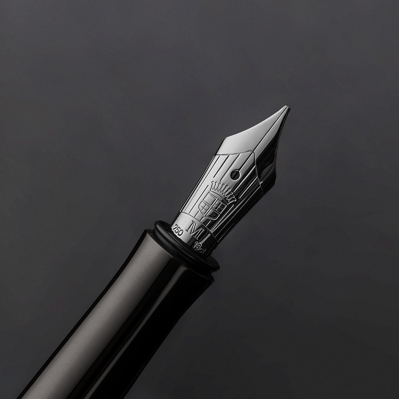 Graf Von Faber-Castell Guilloche Black Edition Fountain Pen - Anthracite 13