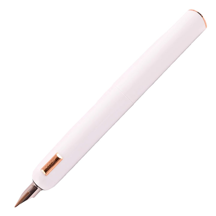 Lamy Dialog CC White Fountain Pen | Buy Online | Lamy – Makoba