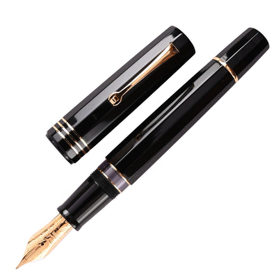 Leonardo Dodici No.6 Fountain Pen - Vulcanica GT 1