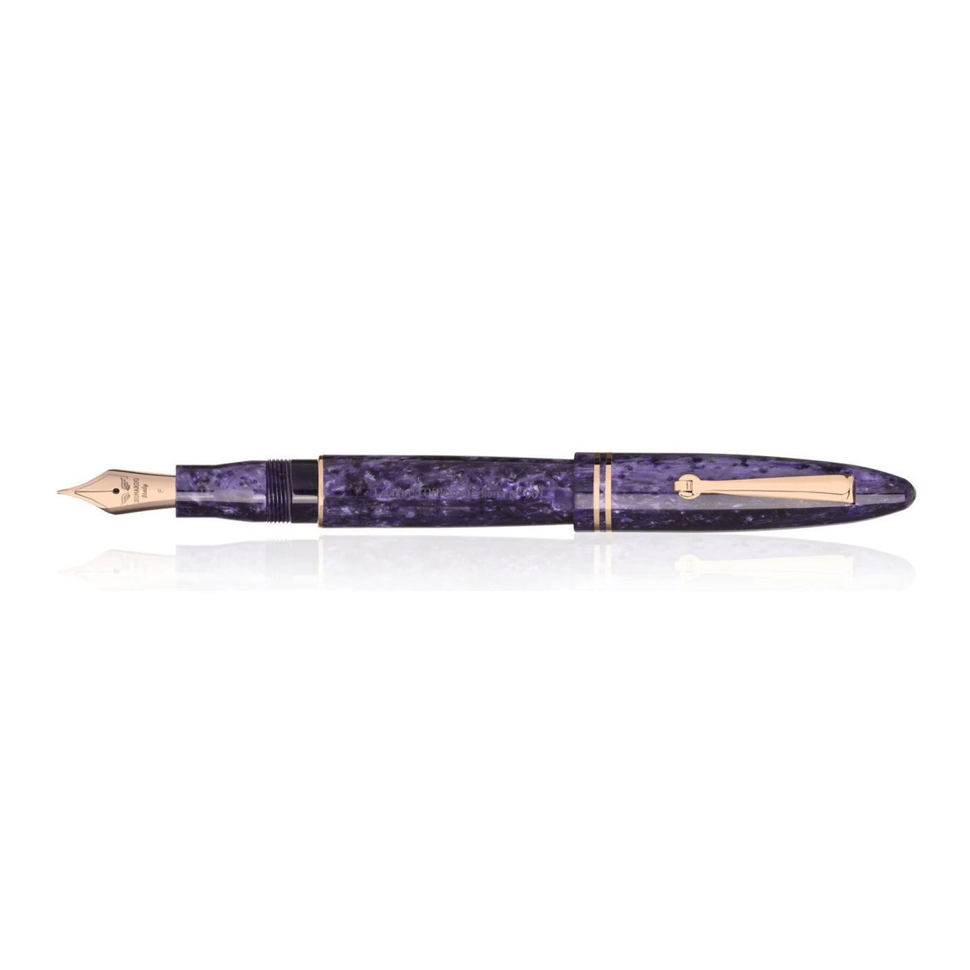 Leonardo Furore Fountain Pen - Purple RGT 3