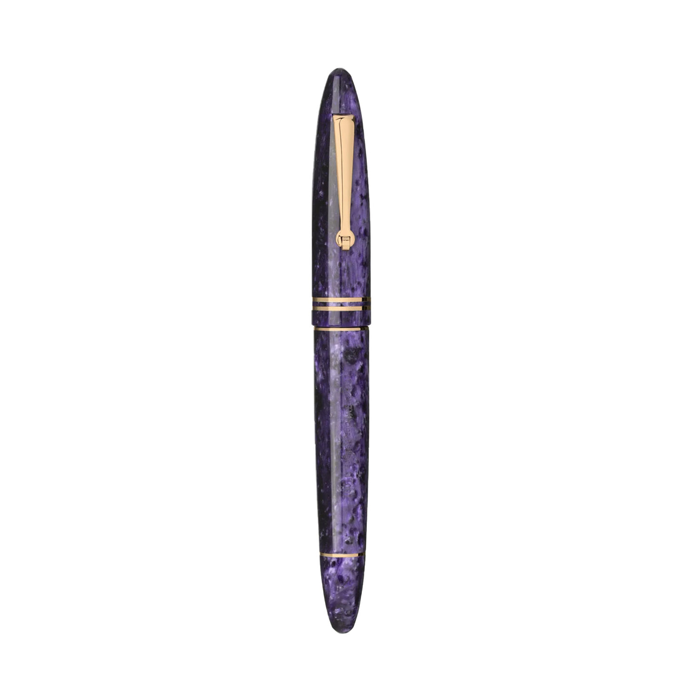 Leonardo Furore Fountain Pen - Purple RGT 6