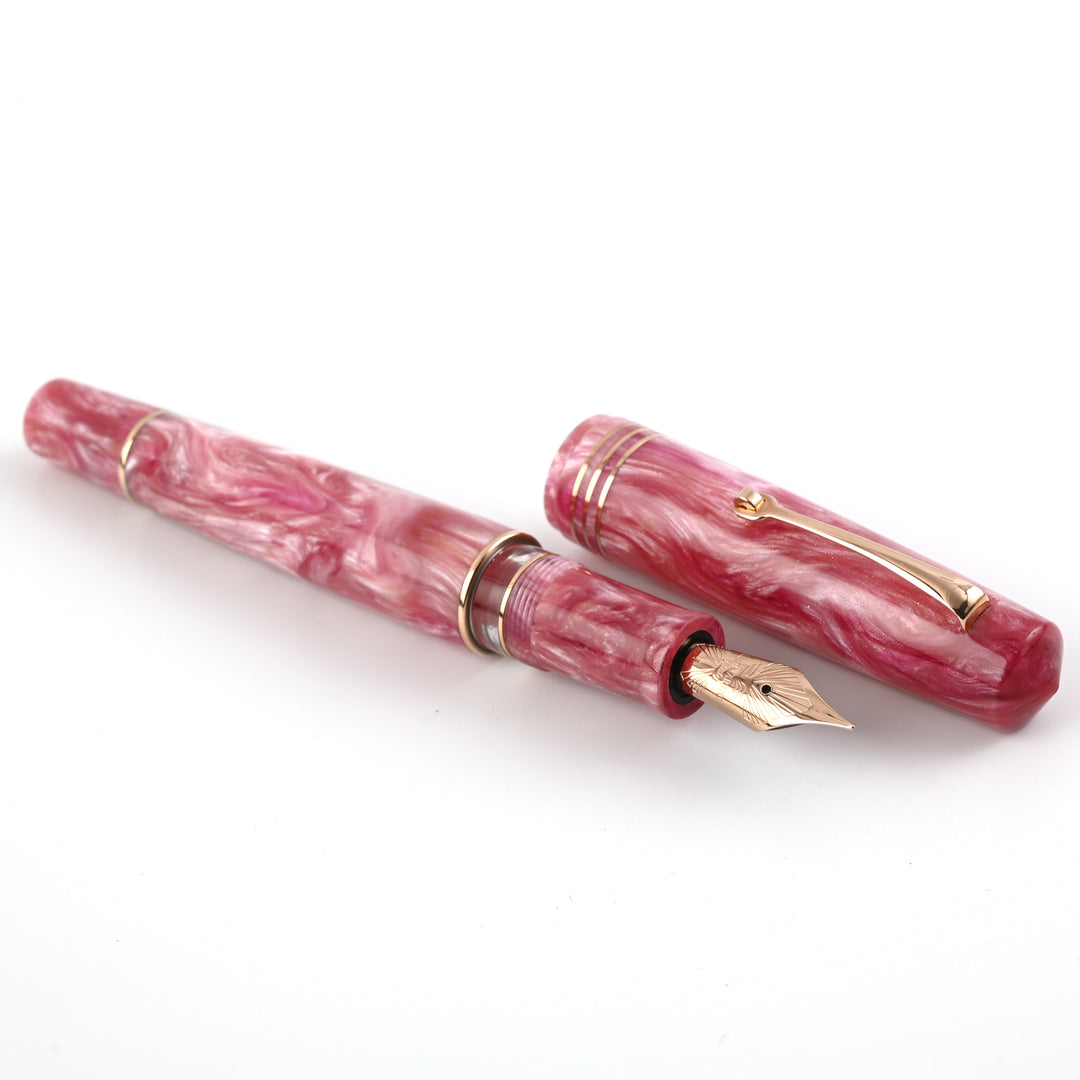 Buy Leonardo Sakura Steel Nib Fountain Pen|Leonardo Power of