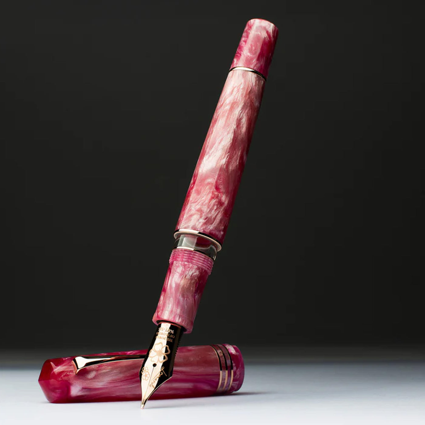 Leonardo MZ Grande 2.0 The Power of Flowers No.8 14K Gold Fountain Pen - Sakura RGT (Limited Edition)