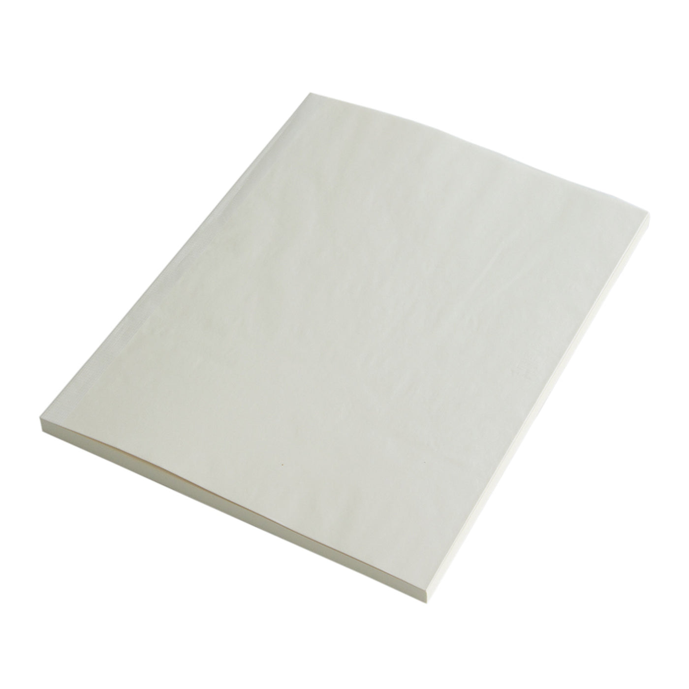 Midori MD Paper Ivory Notebook - A4 Plain 1