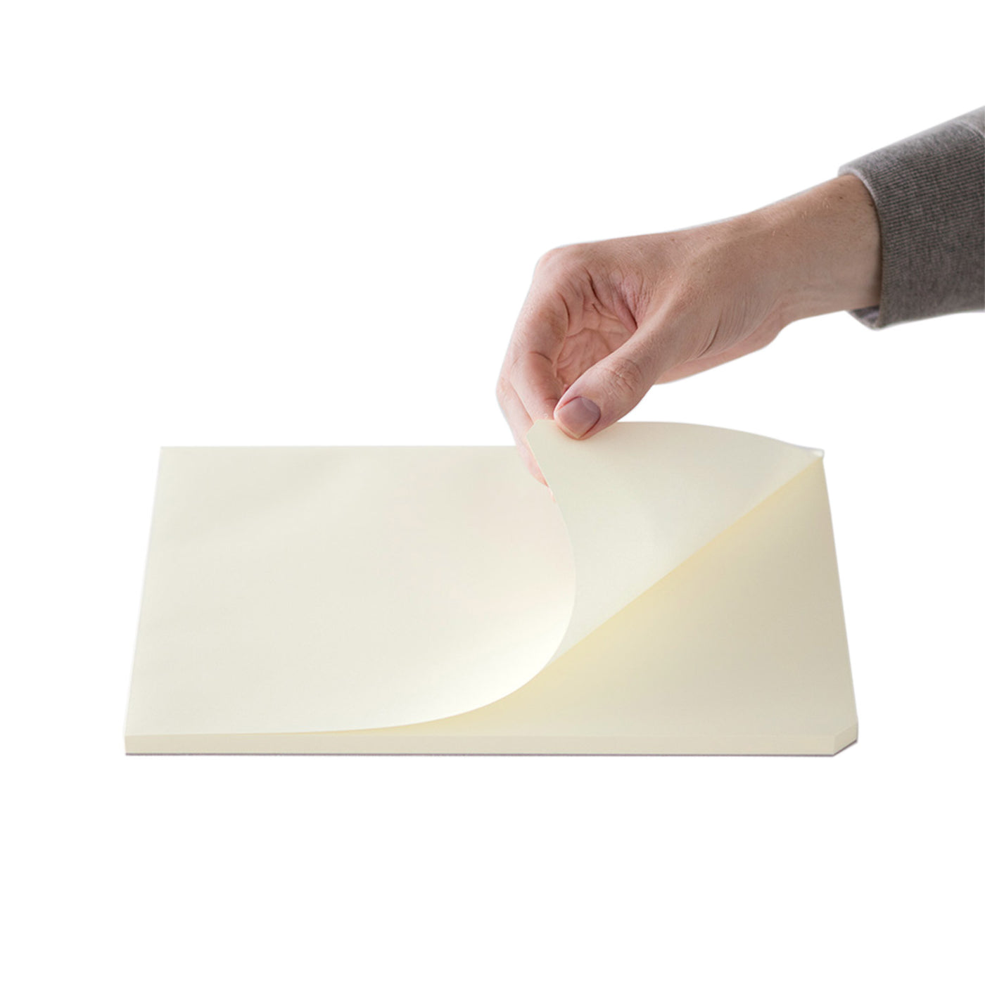 Midori MD Paper Ivory Notepad - A4 Plain 3