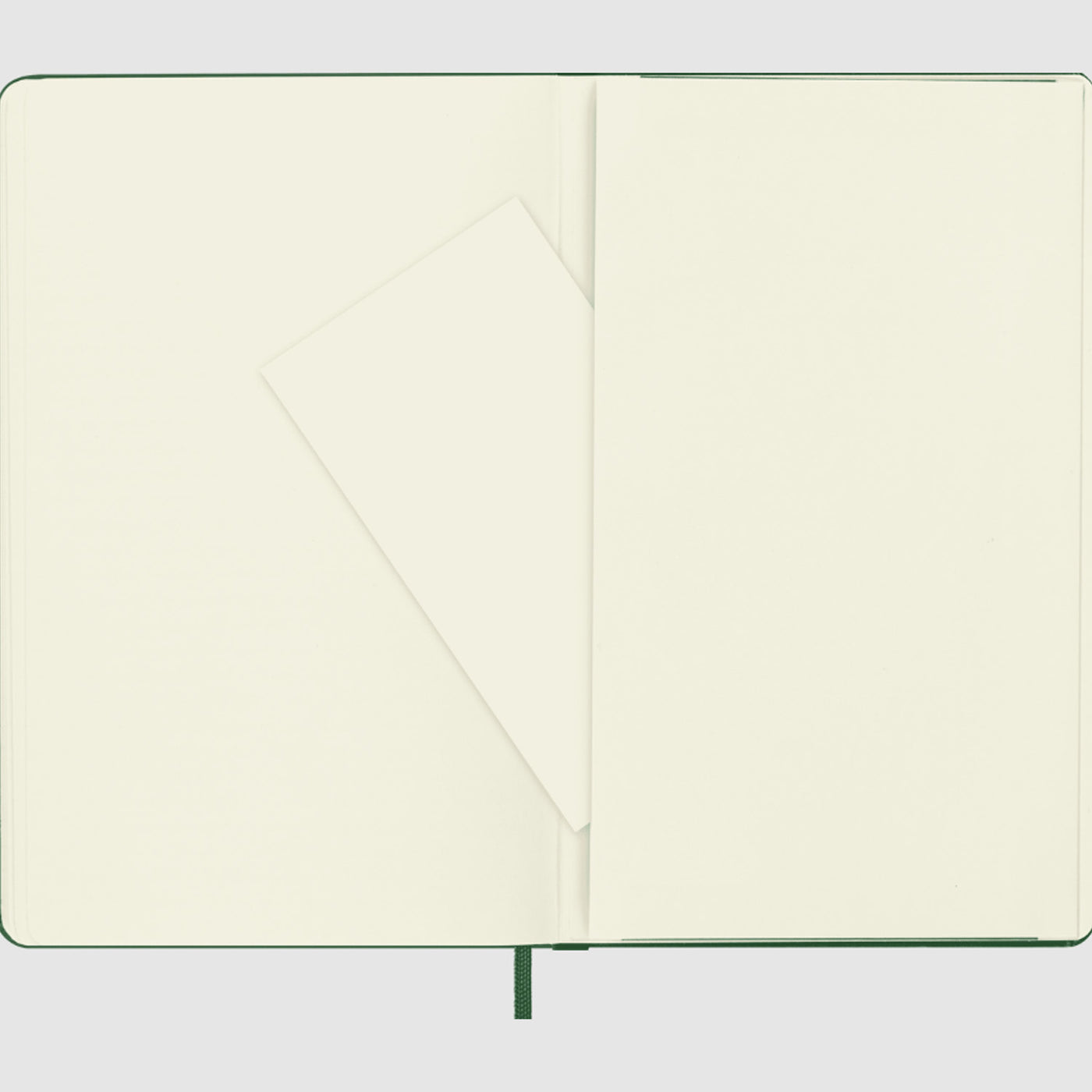 Moleskine Classic Hard Cover Notebook - Myrtle Green - A5 - Plain