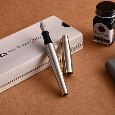 Monteverde Aldo Domani Fountain Pen - Brushed Steel GT 8