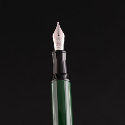 Monteverde Aldo Domani Fountain Pen - Green CT 11