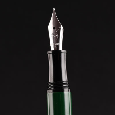 Monteverde Aldo Domani Fountain Pen - Green CT 12