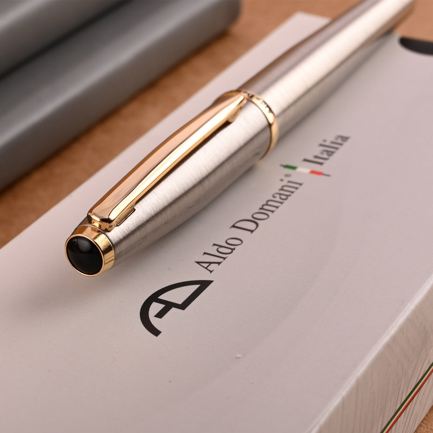 Monteverde Aldo Domani Roller Ball Pen - Brushed Steel GT 9