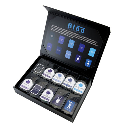 Monteverde Bloo Ink Bottle Gift Set 1