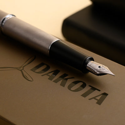 Monteverde Dakota Fountain Pen - Stainless Steel CT