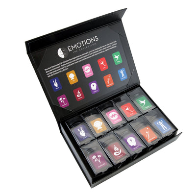 Monteverde Emotions Ink Bottle Gift Set 1