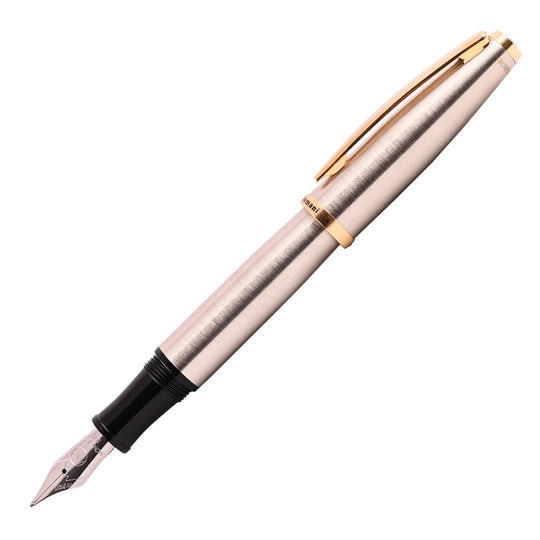 Monteverde Aldo Domani Fountain Pen - Brushed Steel GT
