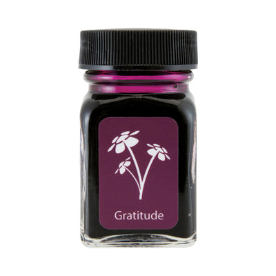 Monteverede Emotion Ink Bottle, Gratitude Magenta - 30ml 1