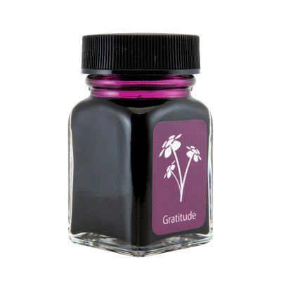 Monteverede Emotion Ink Bottle, Gratitude Magenta - 30ml 2