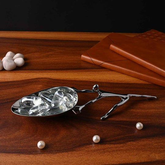 Mukul Goyal Id Ice Scoop, Chrome