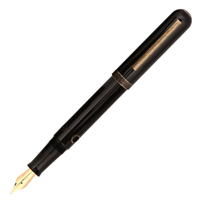 Nahvalur Nautilus Fountain Pen - Bronze Corydoras