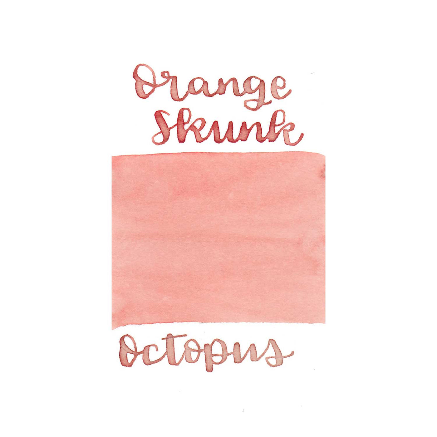 Octopus Write & Draw Ink Bottle Orange Skunk - 50ml 2
