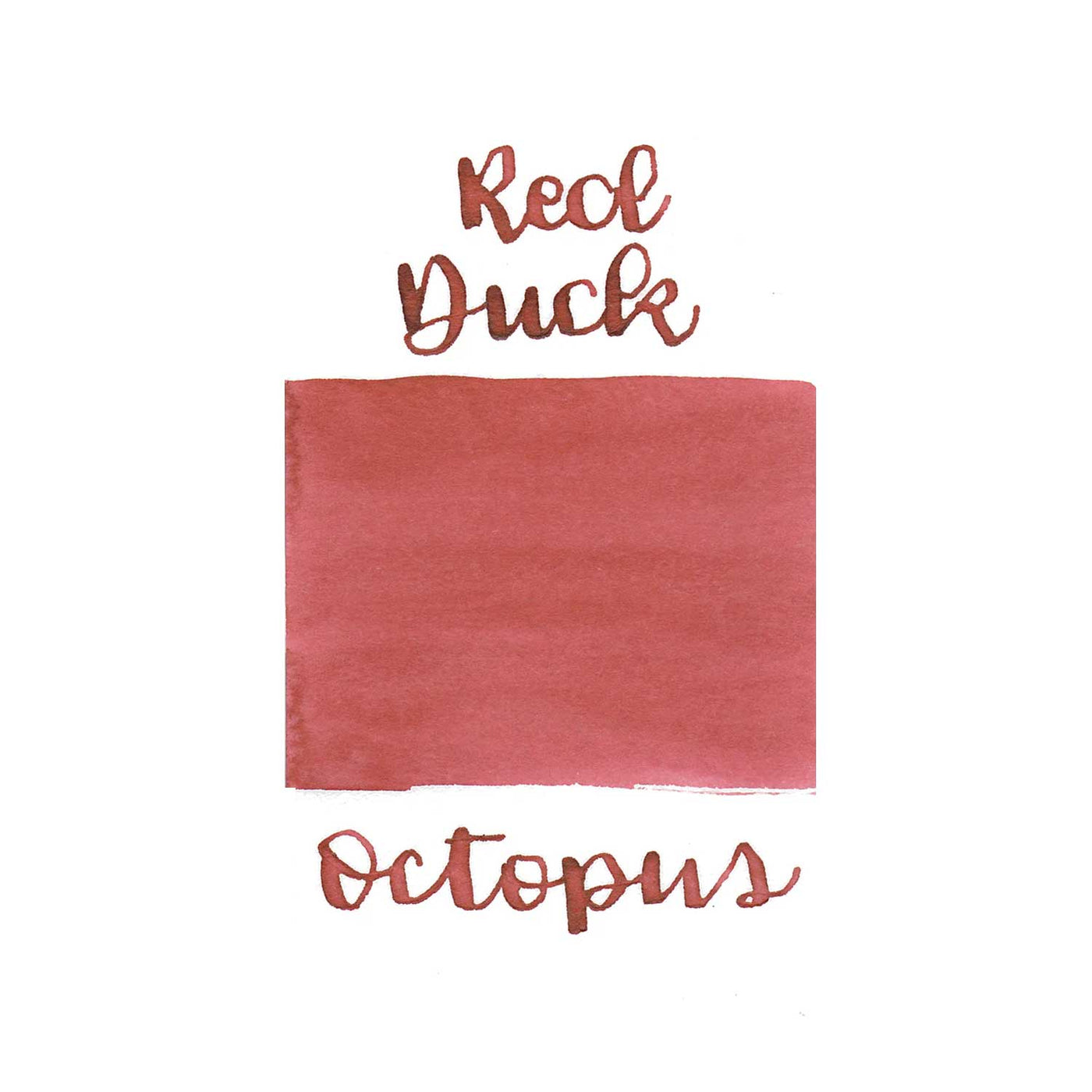Octopus Write & Draw Ink Bottle Red Duck - 50ml 2