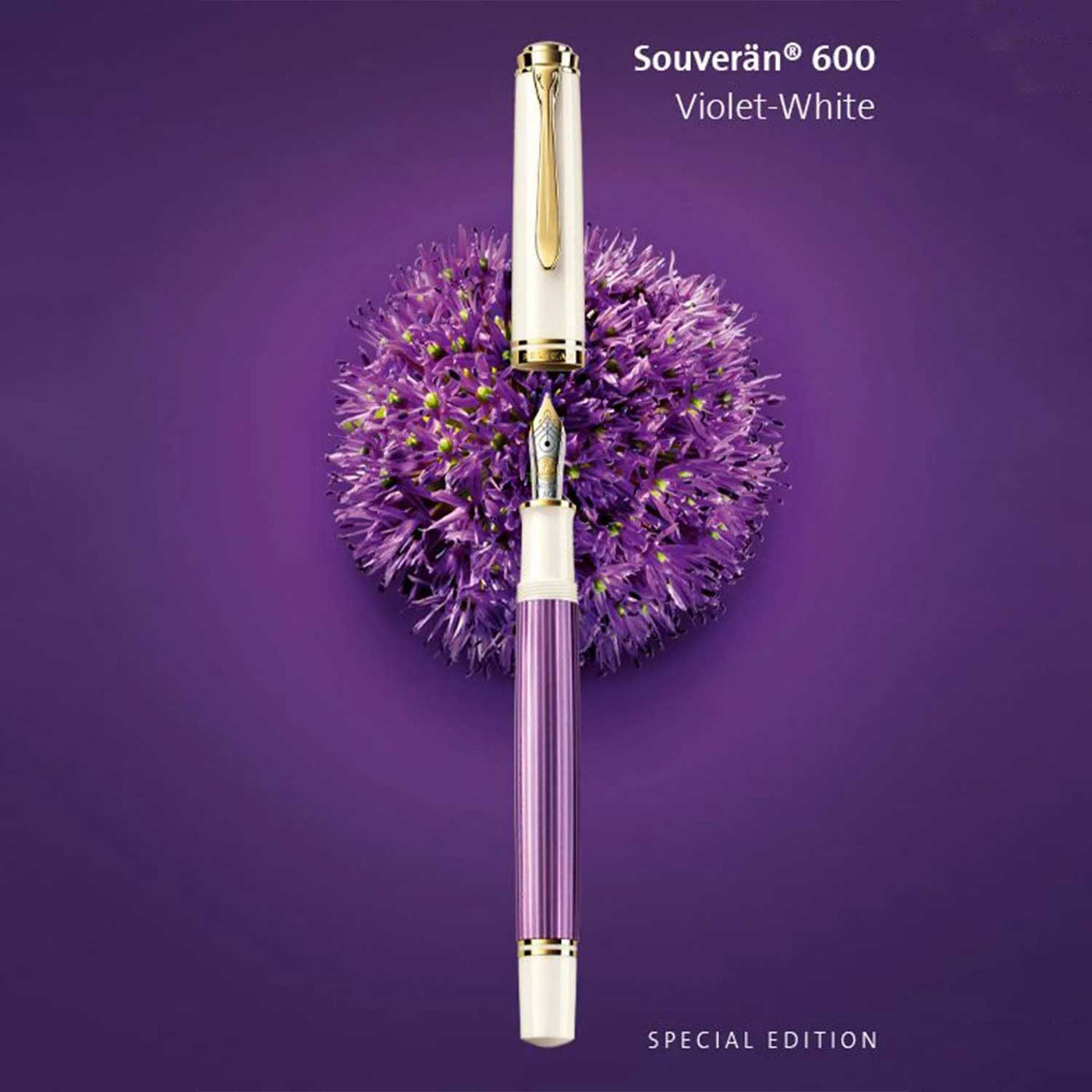 Pelikan M600 Fountain Pen Violet White GT (Special Edition) 5