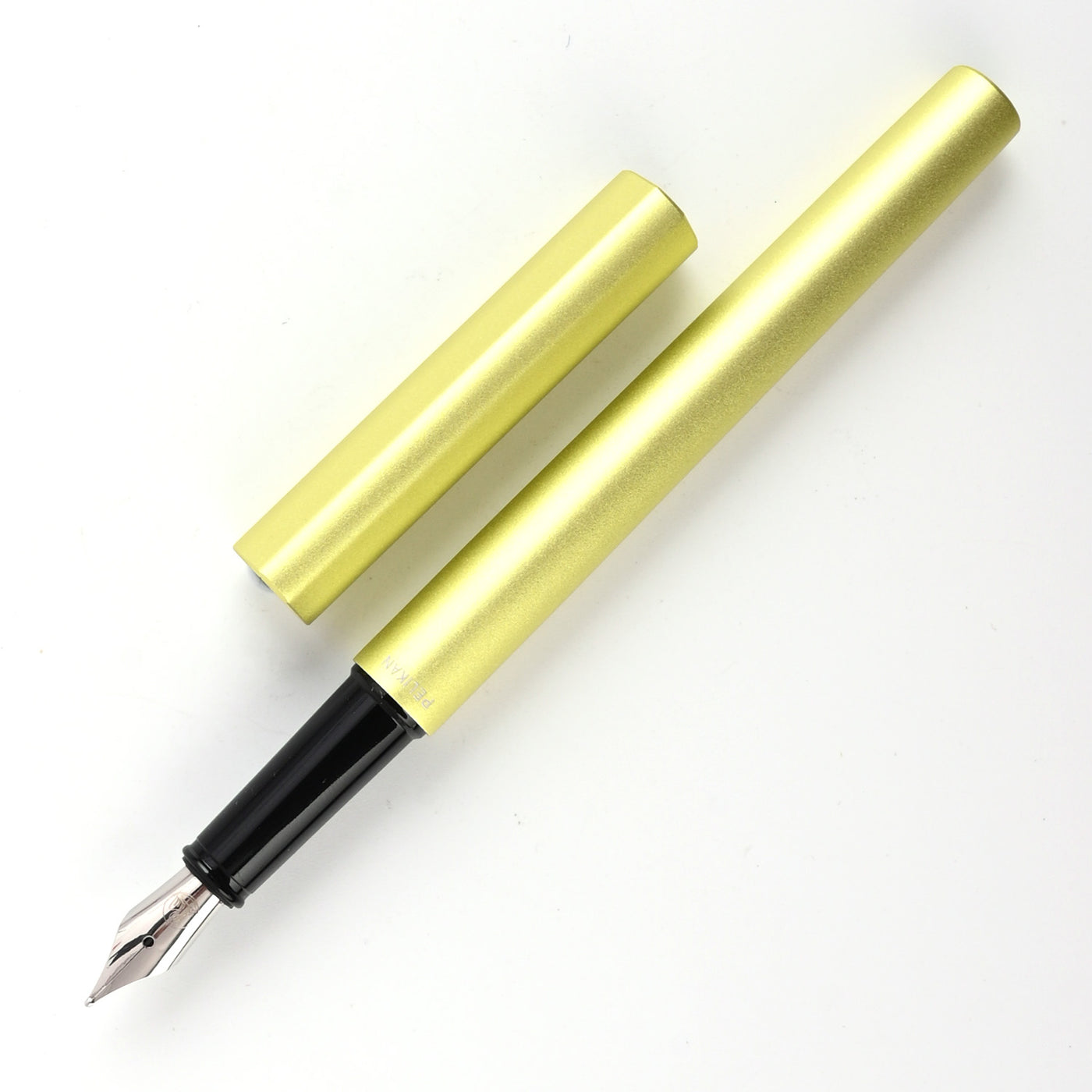 Pelikan Ineo Fountain Pen - Green Oasis 1